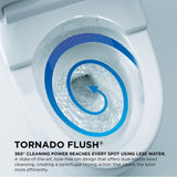 TOTO Nexus Two-Piece Elongated 1.28 GPF Universal Height Toilet with CEFIONTECT and SS234 SoftClose Seat, WASHLET+ Ready, Cotton White