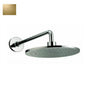 TOTO - Rain Shower Head Polished Brass - Polished Brass