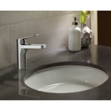 Oberon S Single Handle 0.5 GPM High-Efficiency Bathroom Sink Faucet, Polished Chrome