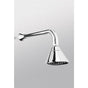 TOTO - Nexus Standard Shower Polished Chrome - Polished Chrome