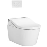 Toto Washlet+ Rp Wall-Hung D-Shape Toilet With Rw Bidet Seat And Duofit In-Wall 1.28 And 0.9 Gpf Auto Dual-Flush Tank System, Matte Silver