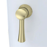 TOTO - Trip Lever - Polished Brass For Nexus Toilet - Polished Brass