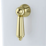 TOTO - Trip Lever (Side Mount) - Polished Brass For Carrollton, Dartmouth, Promenade, Whitney Toilet Tank - Polished Brass