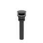 Victoria + Albert - Universal Push Drain - Black