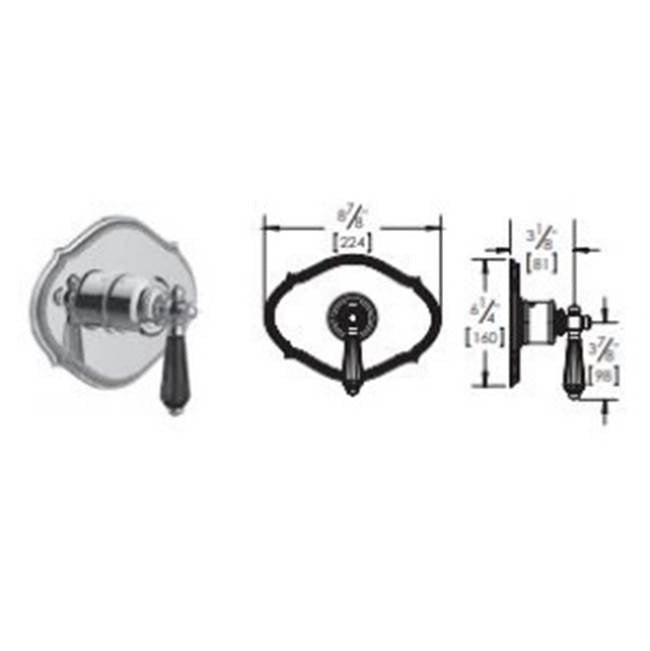 3/4'' Thermostatic Trim - Uses TH-6300 valve