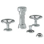 Watermark - Deck Mounted 4-Hole Bidet - Vintage Copper