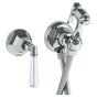 Watermark - Wall Mounted Bidet Spray Set - Vintage Copper