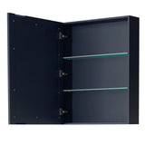 Daria 48 Inch Single Bathroom Vanity in Dark Blue, No Countertop, No Sink, Medicine Cabinet