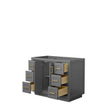 Miranda 42 Inch Single Bathroom Vanity in Dark Gray, No Countertop, No Sink, Brushed Gold Trim