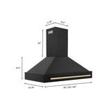48'' Black Stainless Steel Range Hood with Gold Handle (BS655Z-48-G)