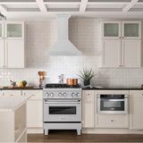 30'' DuraSnow Stainless Steel Range Hood with Stainless Steel Handle
