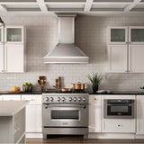 DuraSnow Mirrored Wall Range Hood 655MR