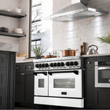 Autograph Edition 48'' 6.0 cu.' Dual Fuel Range with Gas Stove and Electric Oven in Stainless Steel with White Matte Door and CB Accents