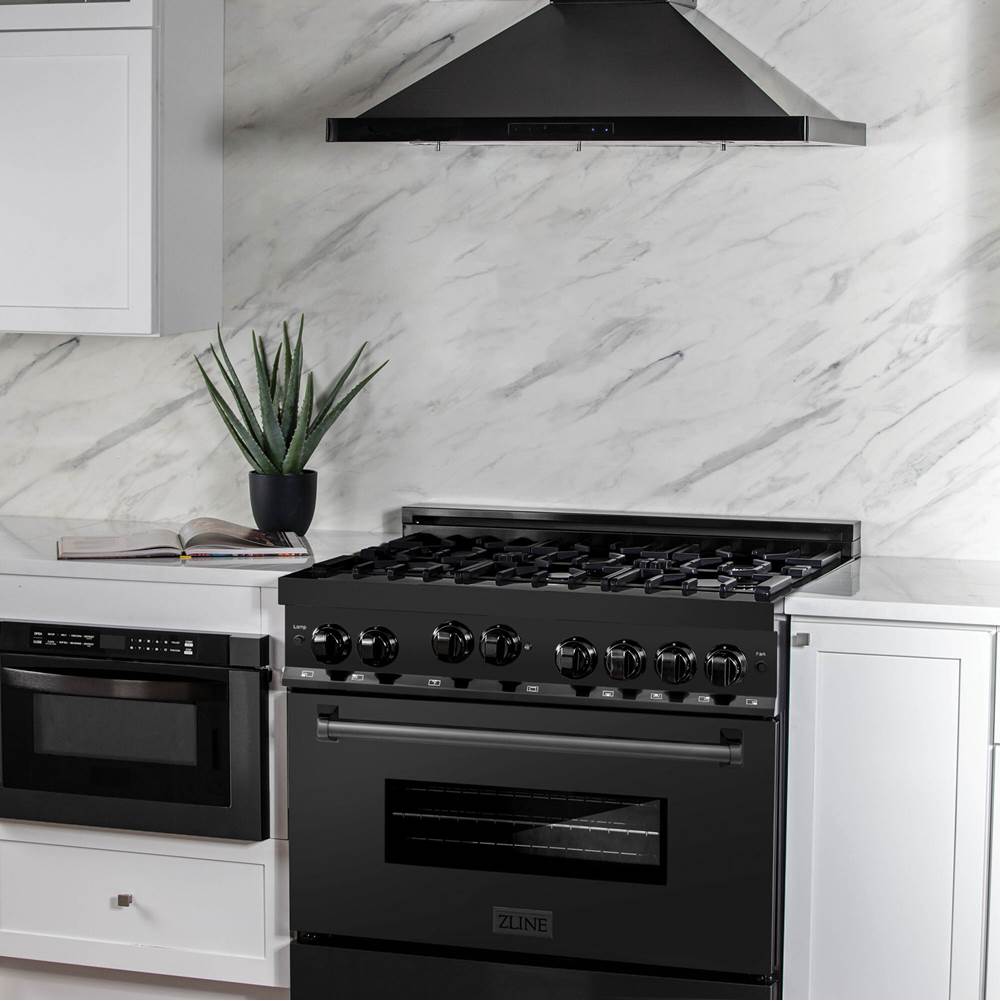 Range with Gas Stove and Gas Oven