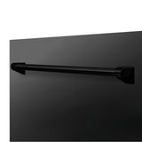 24'' Monument Dishwasher Panel in Stainless Steel with Traditional Handle