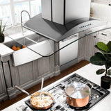 Stainless Steel GL9i With Built in CrownSound Bluetooth Speakers