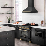 36'' Black Stainless Steel Range Hood with Gold Handle (BS655-36-G)