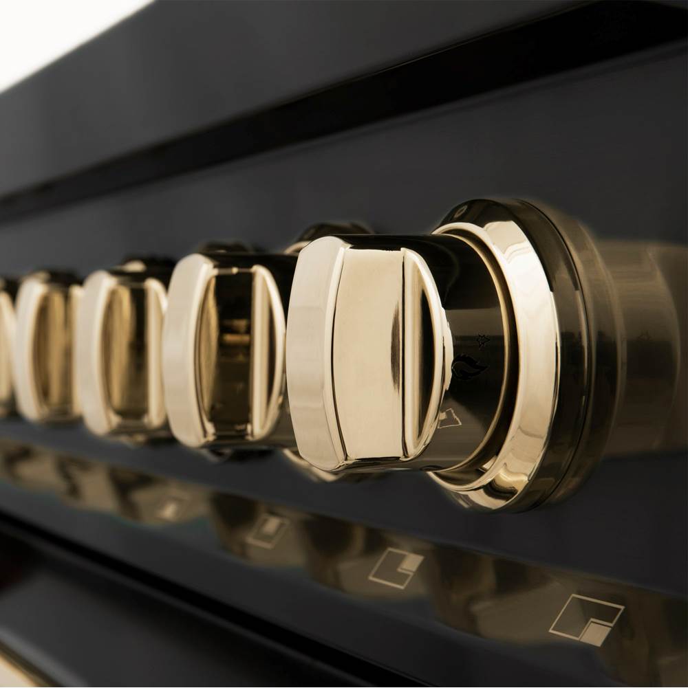 Autograph Edition 30'' 4.0 cu.' Dual Fuel Range with Gas Stove and Electric Oven in Black Stainless Steel with Champagne Bronze Accents
