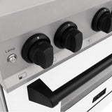 Autograph Edition 48'' 6.0 cu.' Dual Fuel Range with Gas Stove and Electric Oven in DuraSnow Stainless Steel with WM Door and CB Accents