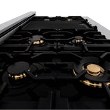 Z-Line - Autograph Edition 48'' 6.0 cu.' Dual Fuel Range with Gas Stove and Electric Oven in DuraSnow Stainless Steel with WM Door and G Accents