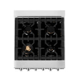 24'' 2.8 cu. ft. Electric Oven and Gas Cooktop Dual Fuel Range with Griddle and Brass Burners in Stainless Steel