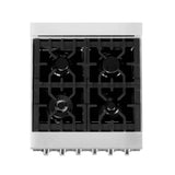 24'' 2.8 cu. ft. Electric Oven and Gas Cooktop Dual Fuel Range with Griddle in Stainless Steel