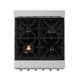 24'' 2.8 cu. ft. Gas Oven and Gas Cooktop Range with Griddle and Brass Burners in Stainless Steel