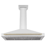 48'' Autograph Edition Stainless Steel Range Hood with Stainless Steel Shell and Champagne Bronze Accents