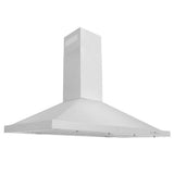 Z-Line - 48'' Outdoor Wall Mount Range Hood in Stainless Steel