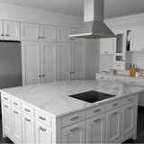 24'' Induction Cooktop with 4 burners