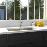 Anton 36'' Undermount Double Bowl Sink in Stainless Steel