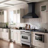 36'' Professional 4.6 cu.' 4 Gas on Gas Range in DuraSnow Stainless Steel with Black Matte Door (RGS-BLM-30)
