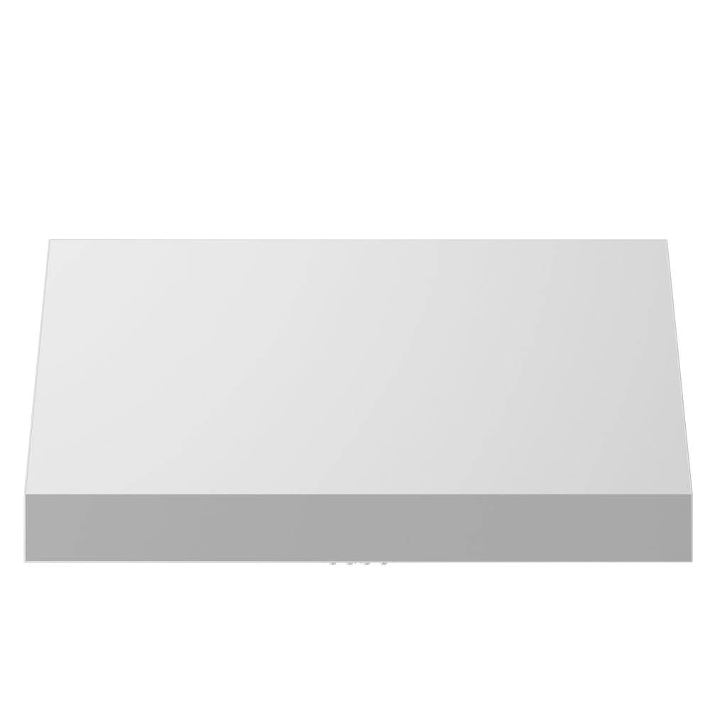 Z-Line - 42'' Under Cabinet Range Hood in Stainless Steel