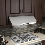 48'' Under Cabinet Range Hood in Stainless Steel