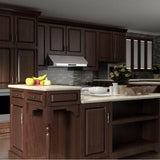 48'' Under Cabinet Range Hood in Stainless Steel