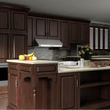 48'' Under Cabinet Range Hood in Stainless Steel