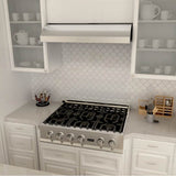 30'' Under Cabinet Range Hood in Stainless Steel