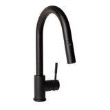 Z-Line - Arthur Kitchen Faucet in Matte Black - Matte Black