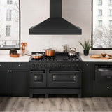 48'' Black Stainless Steel Range Hood with Black Stainless Steel Handle (BS655-48-BS)
