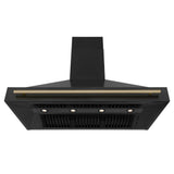 48'' Black Stainless Steel Range Hood with Champagne Bronze Handle (BS655-48-CB)