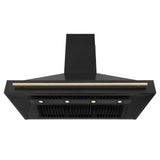 48'' Black Stainless Steel Range Hood with Gold Handle (BS655Z-48-G)