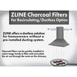 Set of Two(2) Charcoal Filters for Models 587/597/9597 (CF1)