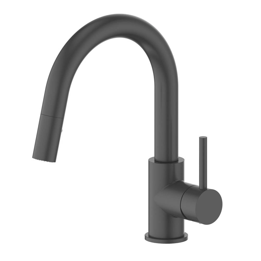 Z-Line - Dante Kitchen Faucet in Matte Black - Electric Matte Black
