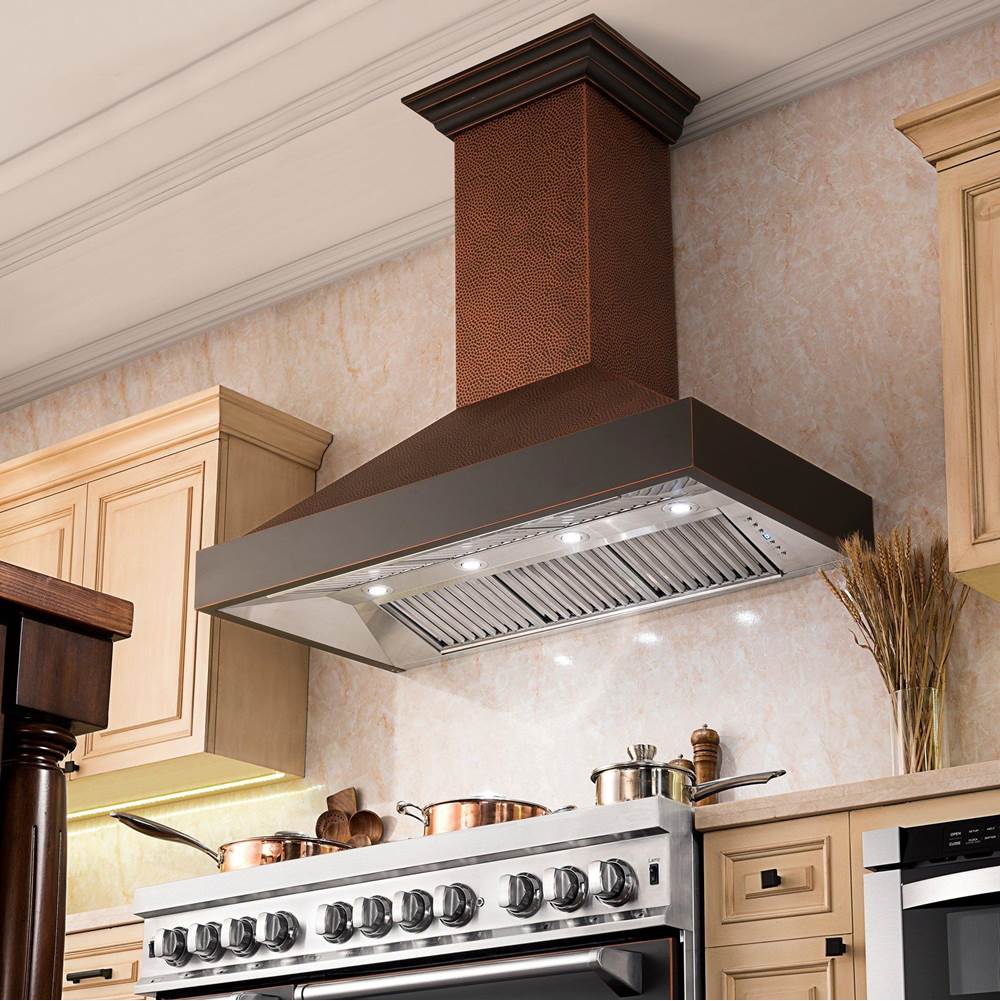 48'' Designer Series Wall Mount Range Hood