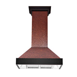 Z-Line - 48'' Designer Series Wall Mount Range Hood