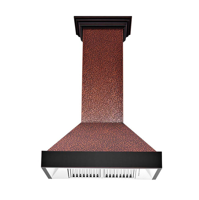 Z-Line - 48'' Designer Series Wall Mount Range Hood