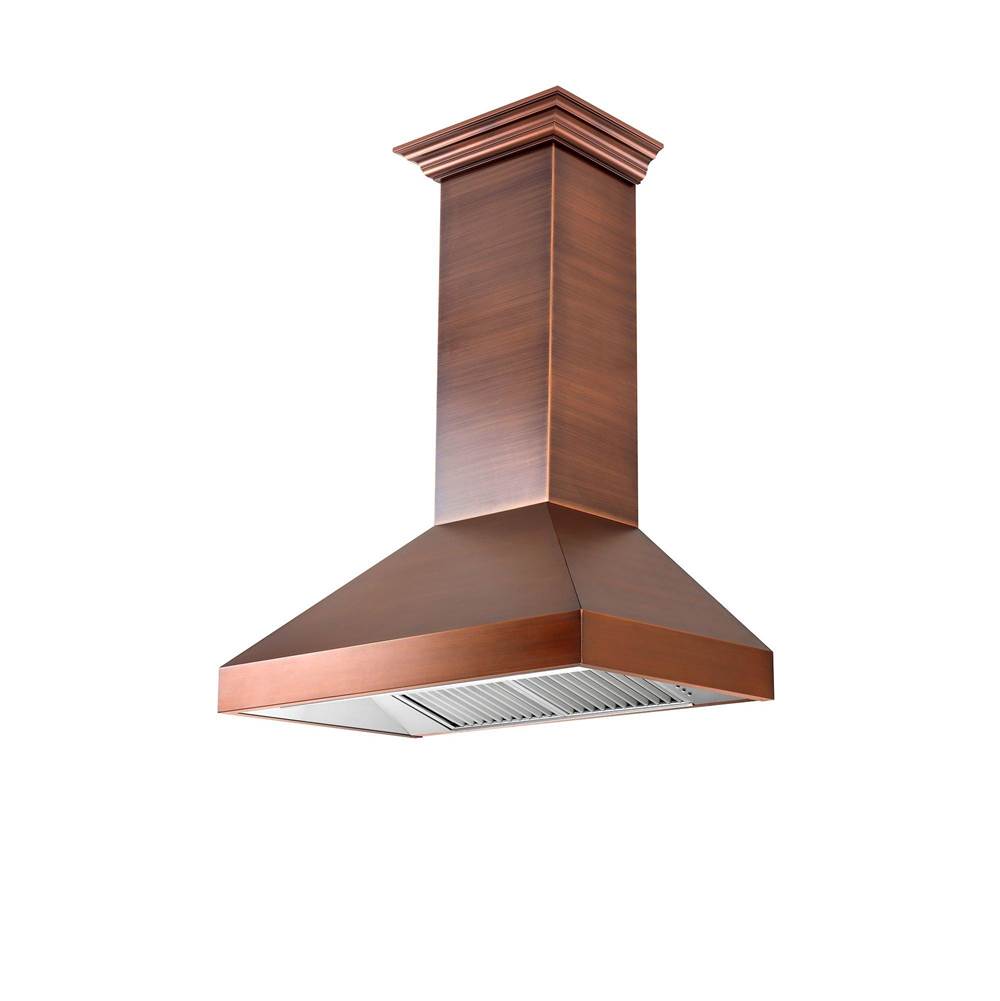 Z-Line - 30'' Designer Series Wall Mount Range Hood