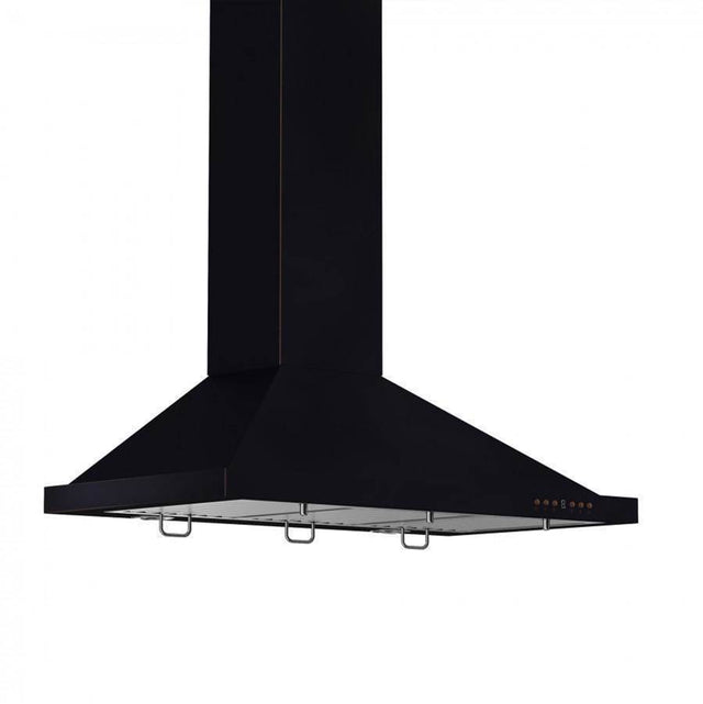 Z-Line - 30'' Designer Series Wall Mount Range Hood