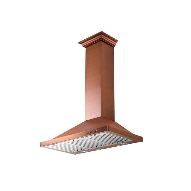 Z-Line - 30'' Designer Series Wall Mount Range Hood
