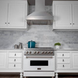 48'' DuraSnow Stainless Steel Range Hood with DuraSnow Shell